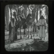 Böhl glass slide 60./1425